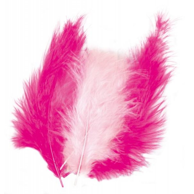 Συλλογή Φτερά ρόζ-φούξια 10-15cm 15τεμ