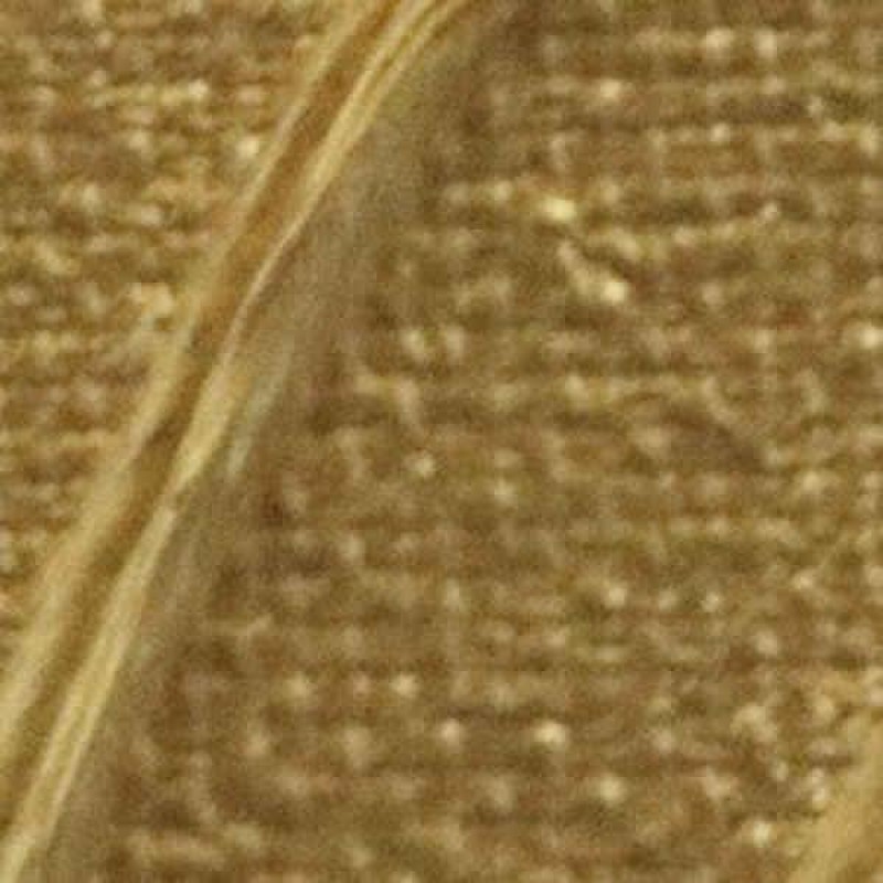 Origin Acrylics 60ml Gold Origin Acrylics 60ml Gold