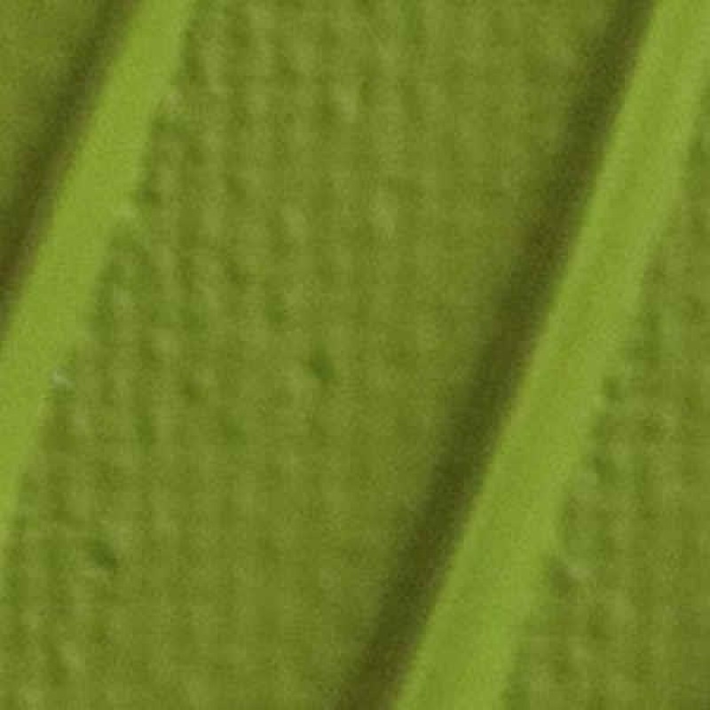 Origin Acrylics 60ml Light Olive Green Origin Acrylics 60ml Light Olive Green