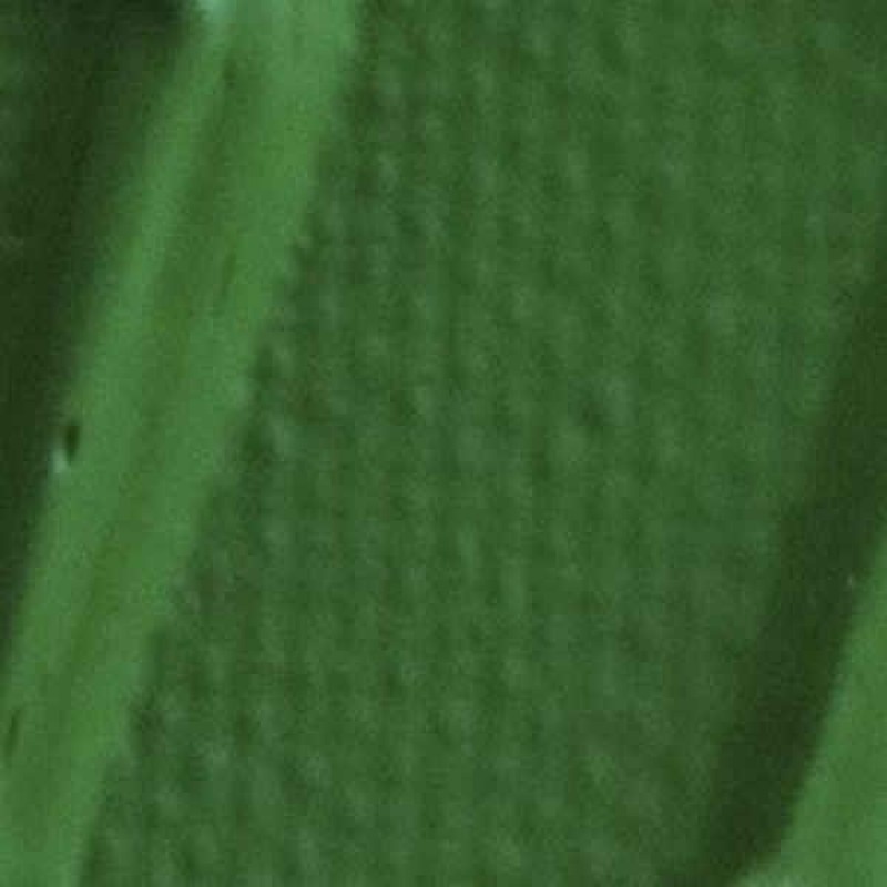 Origin Acrylics 60ml Permanent Green Light Origin Acrylics 60ml Permanent Green Light