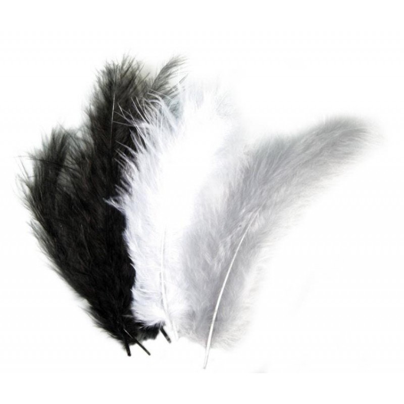 Συλλογή Φτερά Μαύρα-Άσπρα-Γκρί 10-15cm 15τεμ