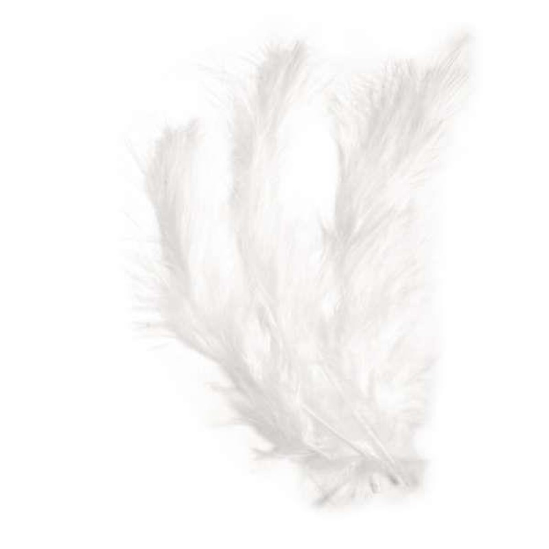 Συλλογή Φτερά Λευκά 10-15cm 15τεμ
