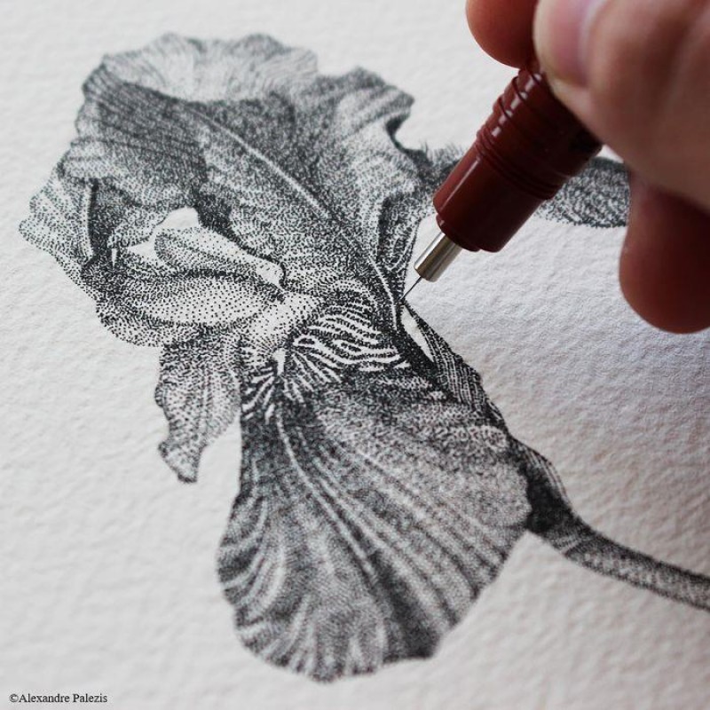 Rotring Isograph Drawing Pen 0.25