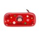 Legami Ladybug Rigid Transparent Pencil Case - WonderWow