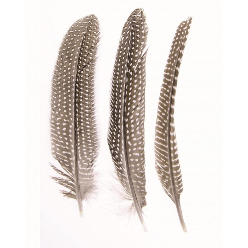 Glorex 5 Φτερά Φασιανού 16-18cm