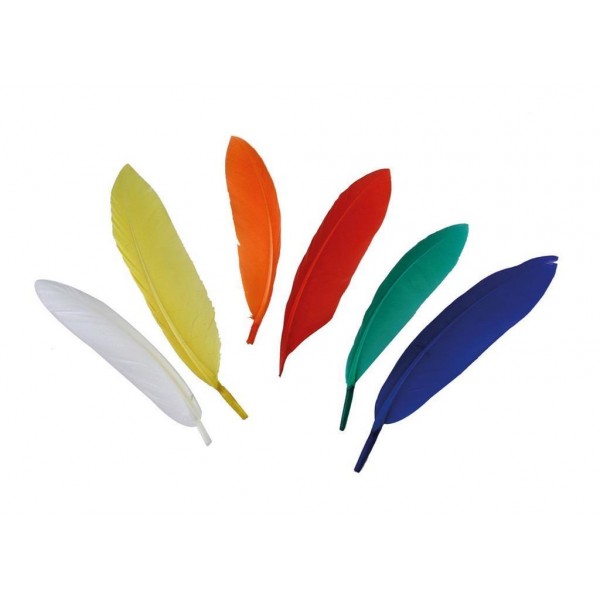 Πολύχρωμα Φτερά 20τεμ 8-14cm