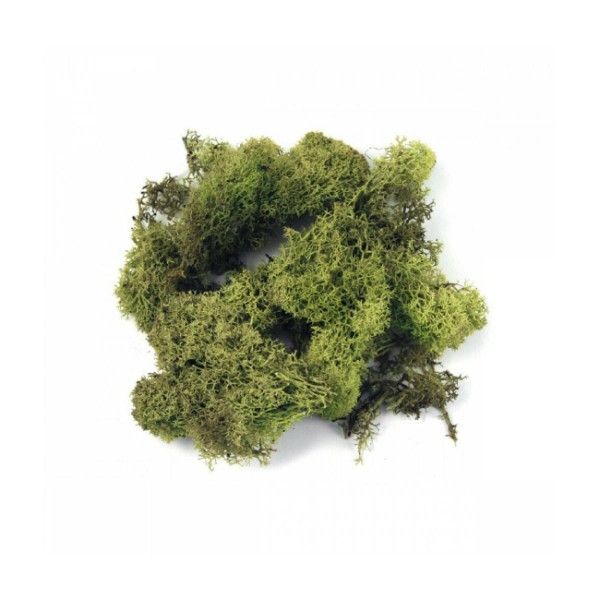 Χόρτο Χειροτεχνίας Πράσινο Ανοιχτό 30g