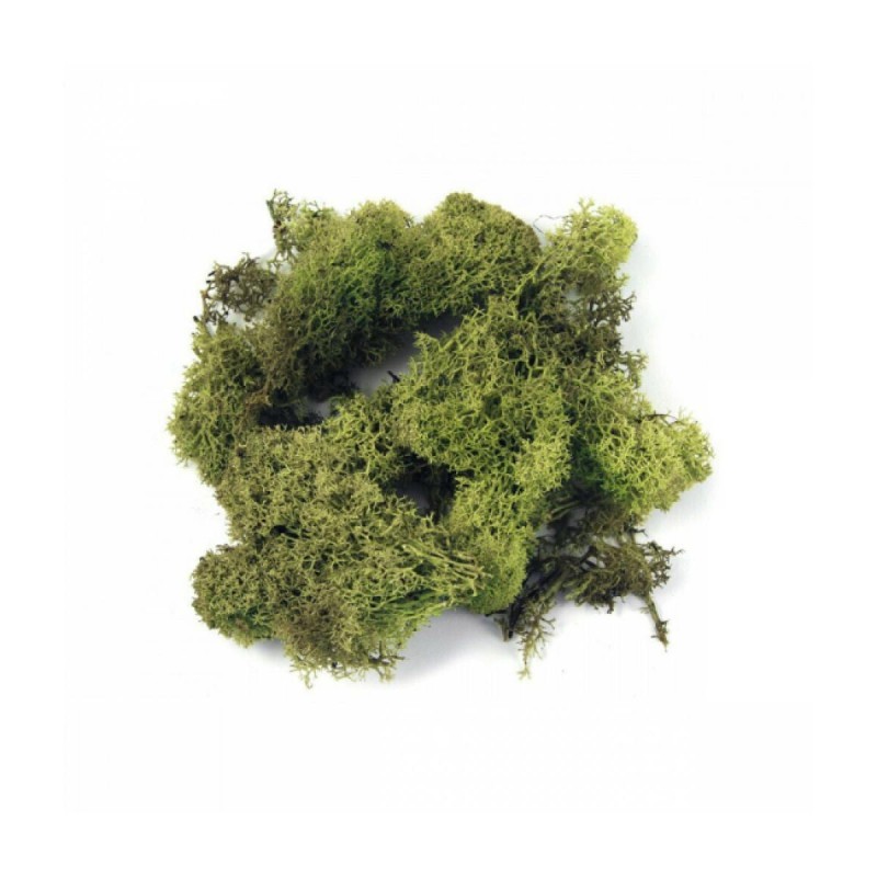 Χόρτο Χειροτεχνίας Πράσινο Ανοιχτό 30g