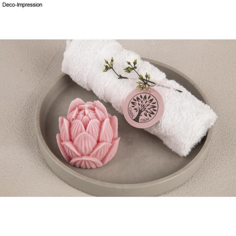 Καλούπι Σιλικόνης Δίσκος 17cm x 2.1cm Καλούπι Σιλικόνης Δίσκος 17cm x 2.1cm