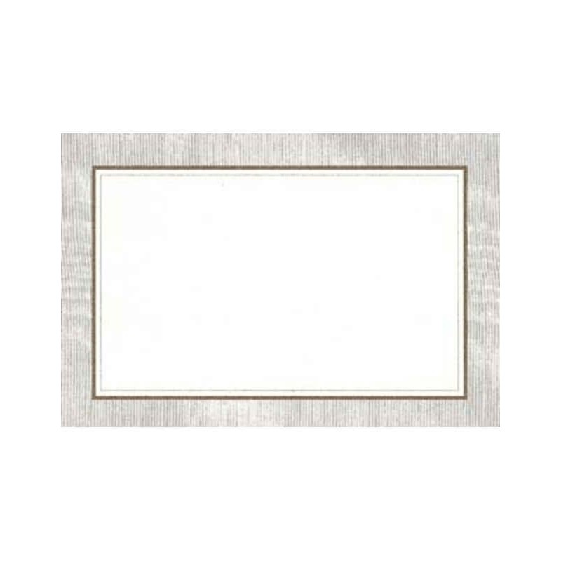 Caspari 10 Place Cards Silver