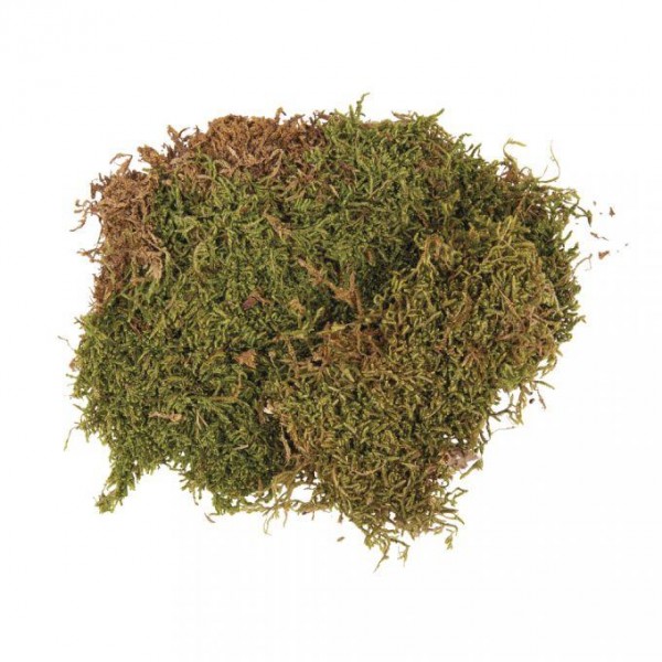 Χόρτο Χειροτεχνίας Πράσινο 100g