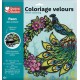 Velvet Colouring - Peacock