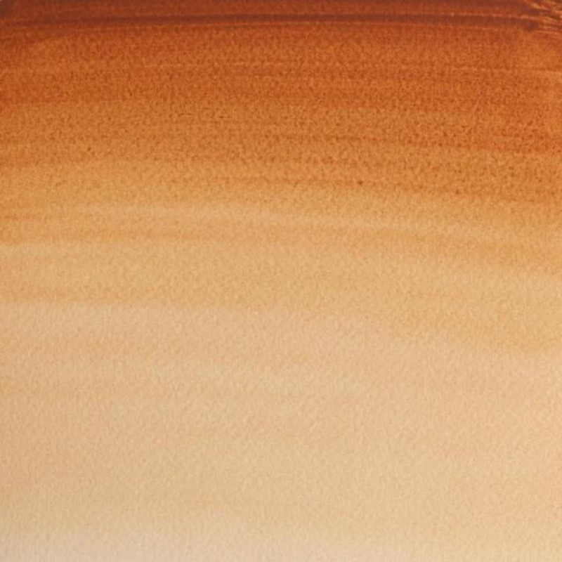 Winsor Newton 5ml Ακουαρέλας Professional 059 Brown Ochre Series 1