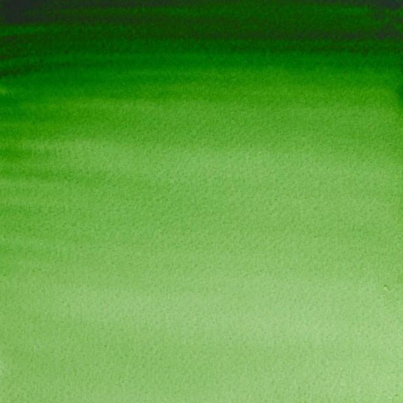Winsor Newton Half Pan Ακουαρέλας Professional 311 Hookers Green Series 1