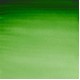 Winsor Newton Half Pan Ακουαρέλας Professional 311 Hookers Green Series 1