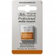 Winsor Newton Half Pan Ακουαρέλας Professional 381 Magnesium Brown Series 1 Winsor Newton Half Pan Ακουαρέλας Professional 381 Magnesium Brown Series 1