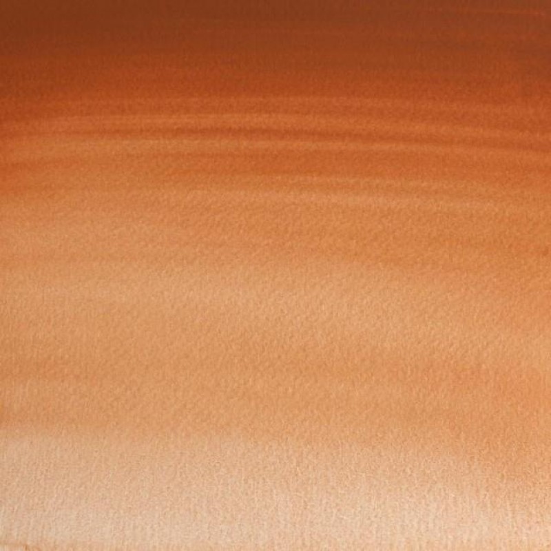 Winsor Newton Half Pan Ακουαρέλας Professional 381 Magnesium Brown Series 1 Winsor Newton Half Pan Ακουαρέλας Professional 381 Magnesium Brown Series 1