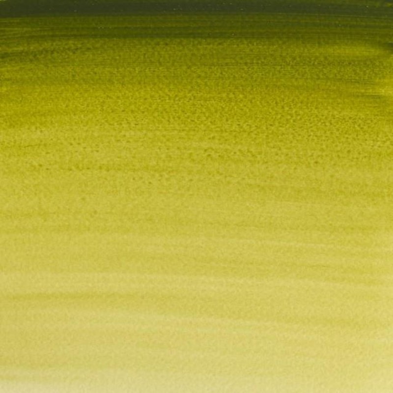 Winsor Newton Half Pan Ακουαρέλας Professional 447 Olive Green Series 1 Winsor Newton Half Pan Ακουαρέλας Professional 447 Olive Green Series 1