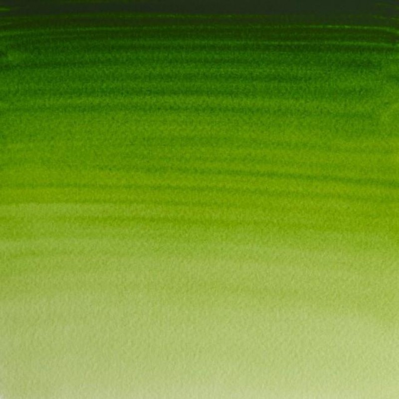 Winsor Newton Half Pan Ακουαρέλας Professional 503 Permanent Sap Green Series 1 Winsor Newton Half Pan Ακουαρέλας Professional 503 Permanent Sap Green Series 1