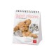 Legami Desk Calendar 2027 Best Friends 12x14.5cm