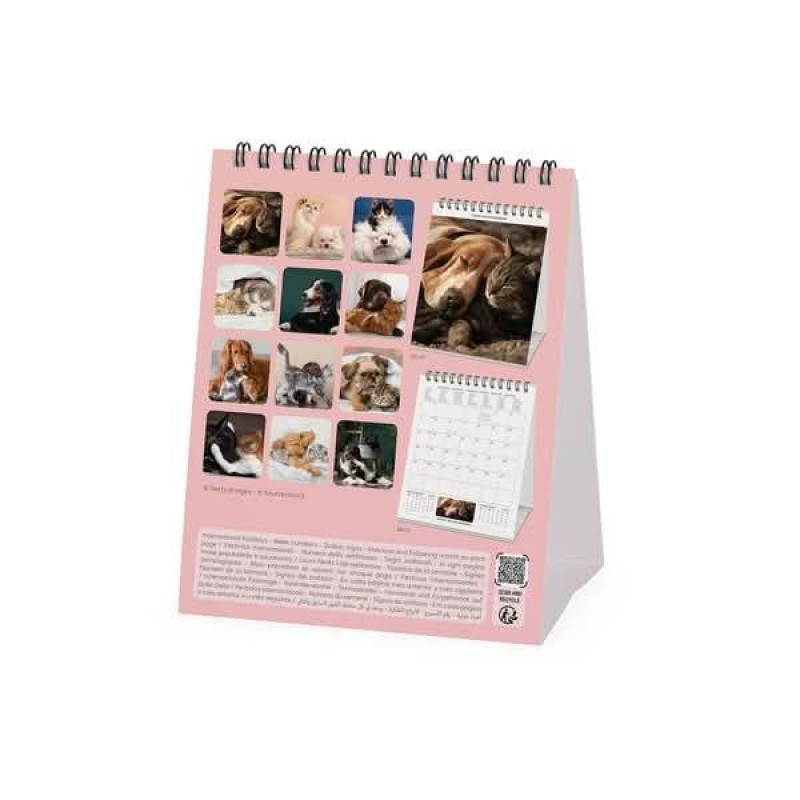 Legami Desk Calendar 2027 Best Friends 12x14.5cm