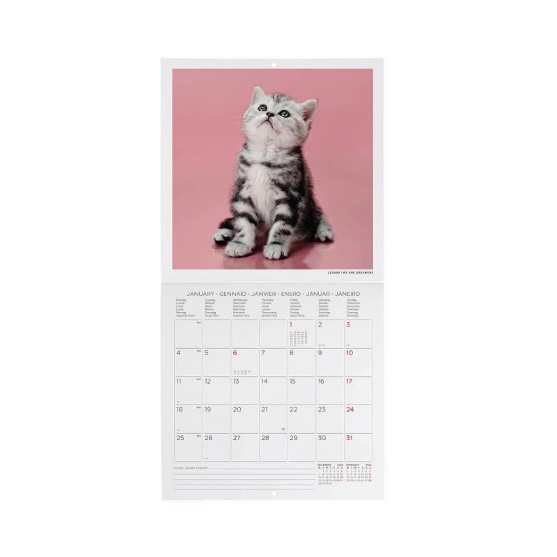 Legami Wall Calendar 2027 Kittens 18x18cm
