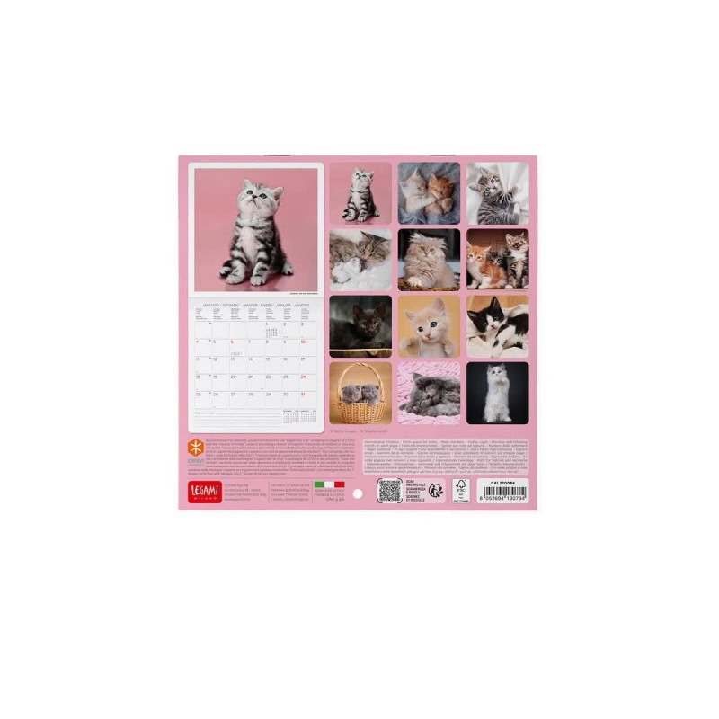 Legami Wall Calendar 2027 Kittens 18x18cm