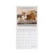 Legami Wall Calendar 2027 Dogs Supawstar 18x18cm