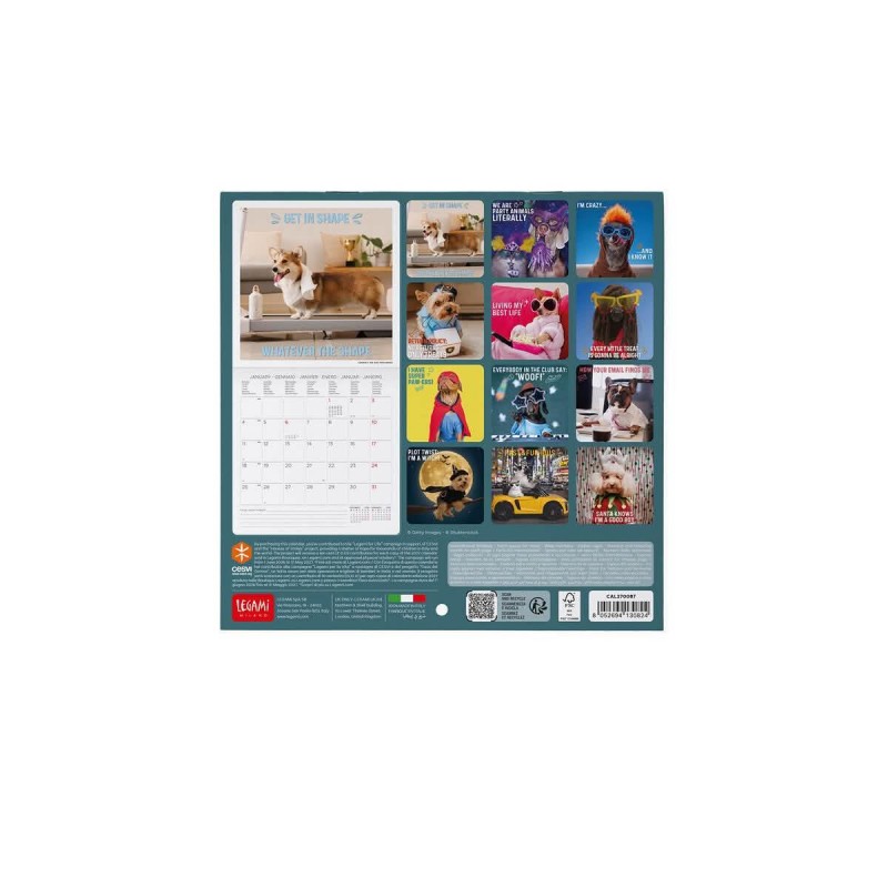 Legami Wall Calendar 2027 Dogs Supawstar 18x18cm