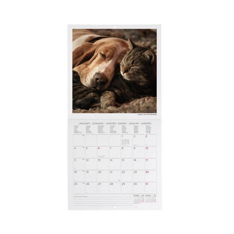 Legami Wall Calendar 2027 Best Friends 18x18cm