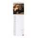 Legami Wall Calendar 2027 Best Friends 16x49cm