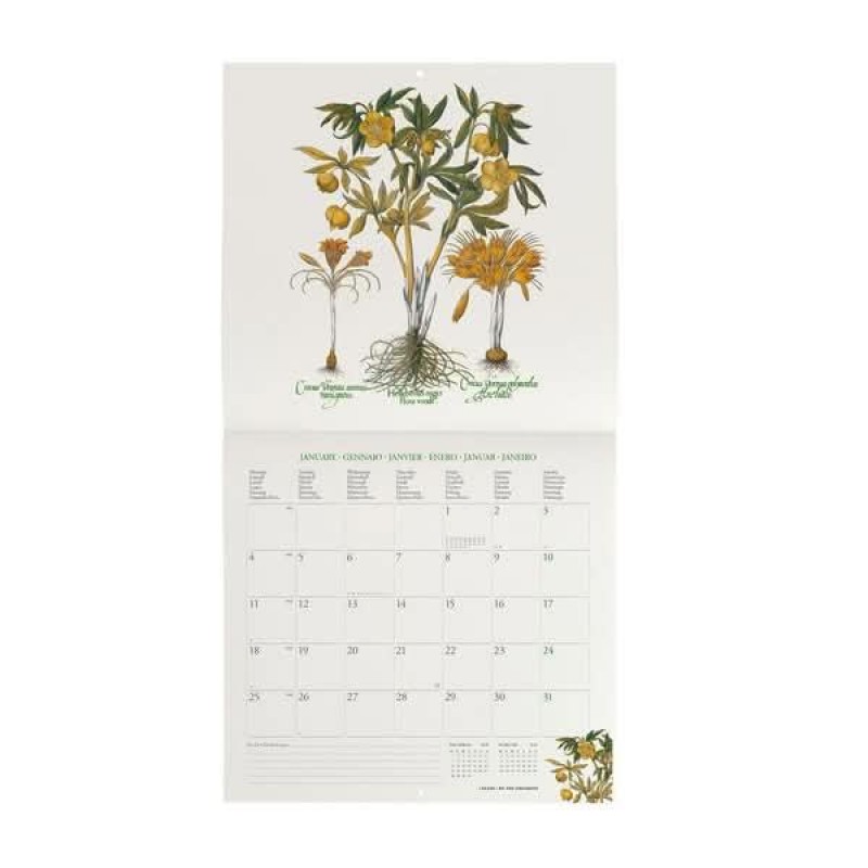 Legami Wall Calendar 2027 Herbarium 30x29cm