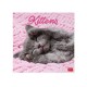 Legami Wall Calendar 2027 Kittens 30x29cm