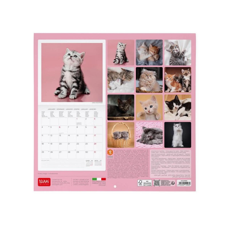 Legami Wall Calendar 2027 Kittens 30x29cm
