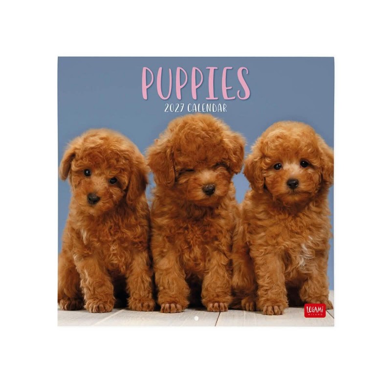 Legami Wall Calendar 2027 Puppies 30x29cm