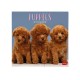 Legami Wall Calendar 2027 Puppies 30x29cm