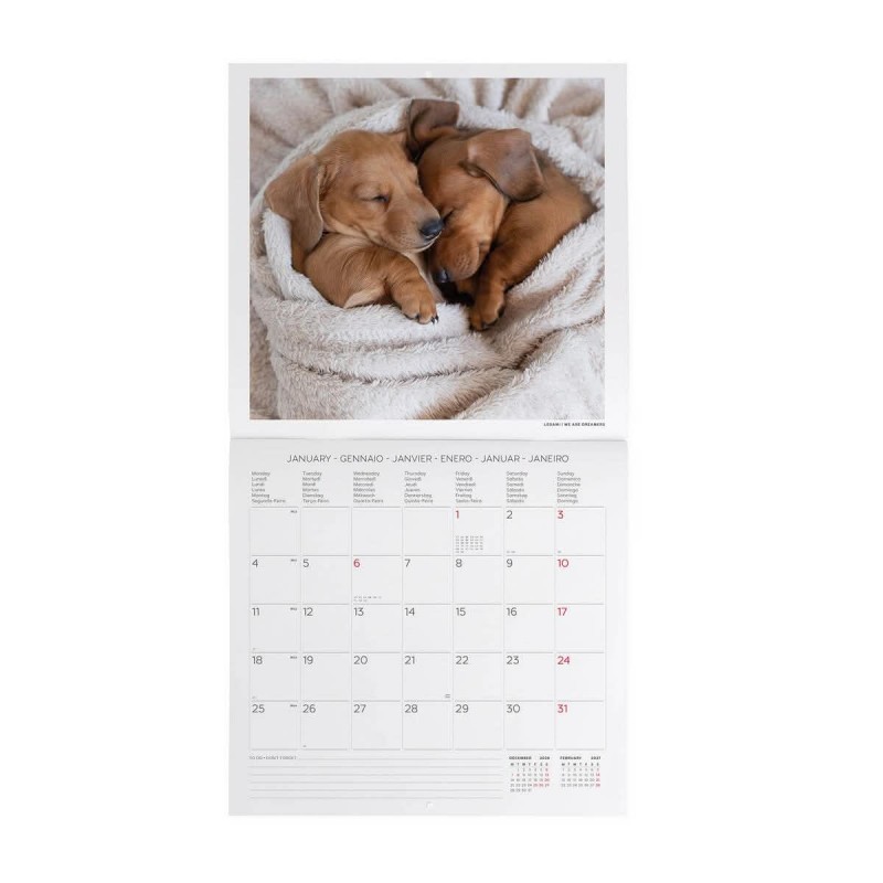 Legami Wall Calendar 2027 Puppies 30x29cm