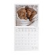 Legami Wall Calendar 2027 Puppies 30x29cm