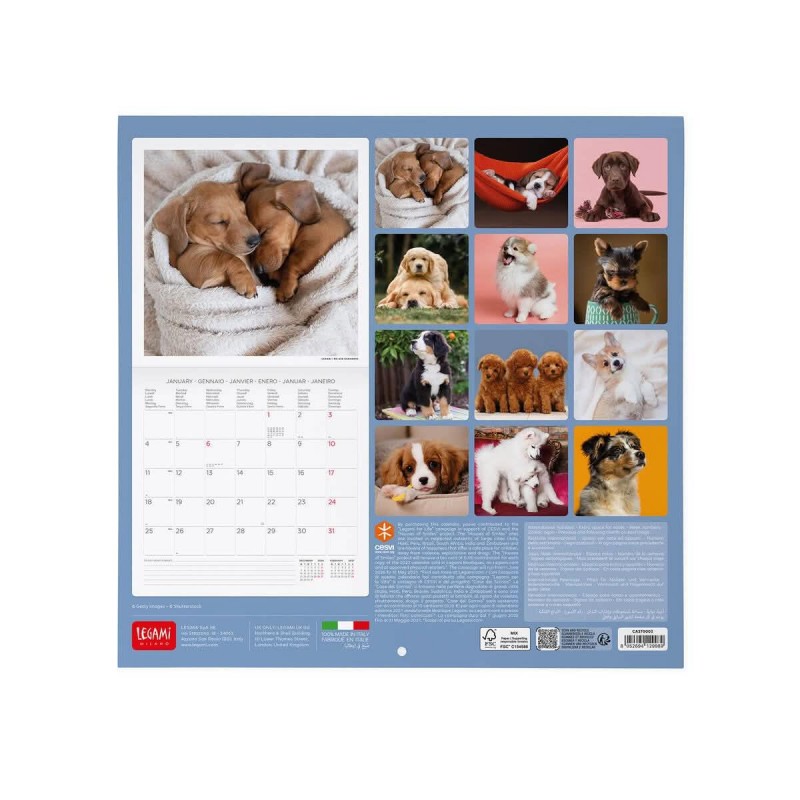 Legami Wall Calendar 2027 Puppies 30x29cm