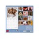 Legami Wall Calendar 2027 Puppies 30x29cm