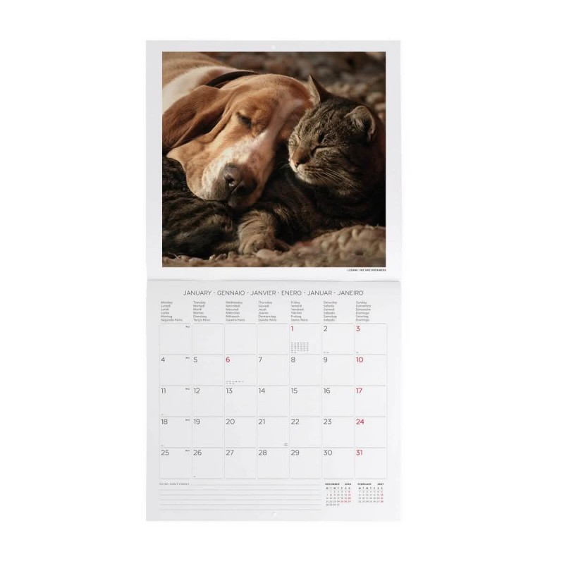 Legami Wall Calendar 2027 Best Friends 30x29cm