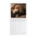 Legami Wall Calendar 2027 Best Friends 30x29cm