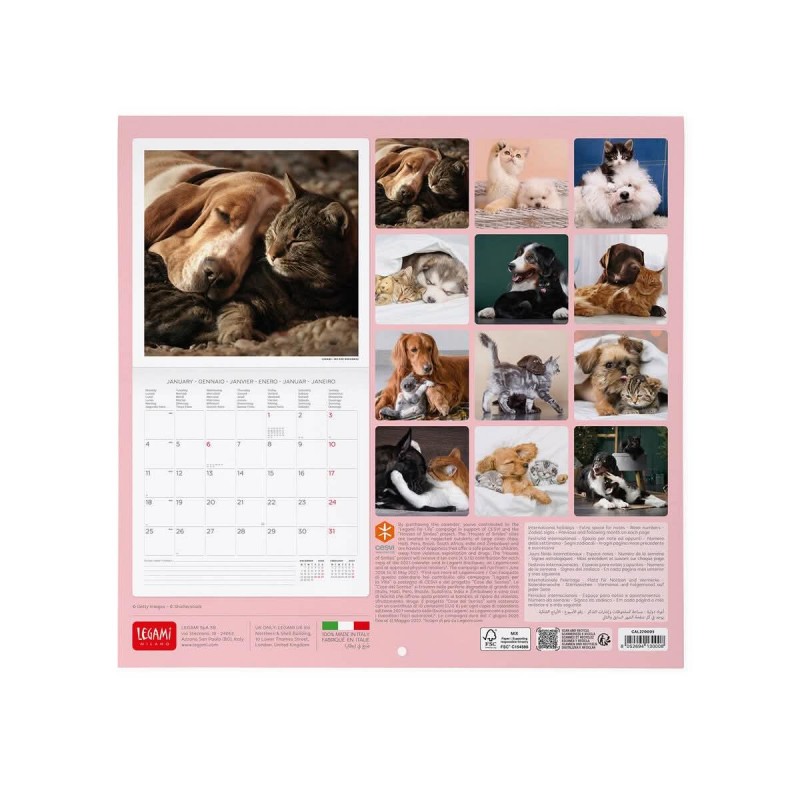 Legami Wall Calendar 2027 Best Friends 30x29cm