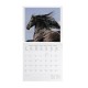 Legami Wall Calendar 2027 Wild Horses 30x29cm