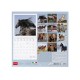 Legami Wall Calendar 2027 Wild Horses 30x29cm
