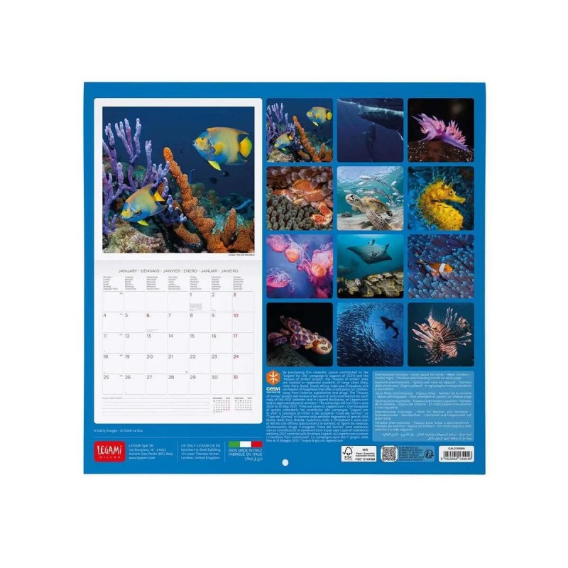 Legami Wall Calendar 2027 Under The Sea 30x29cm