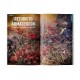 Warhammer Magazine White Dwarf Issue 527