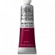 Winton Oil 37ml 380 Magenta