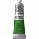 Winton Oil 37ml 637 Terre Verte