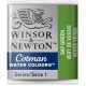 Cotman Half Pan 599 Sap Green